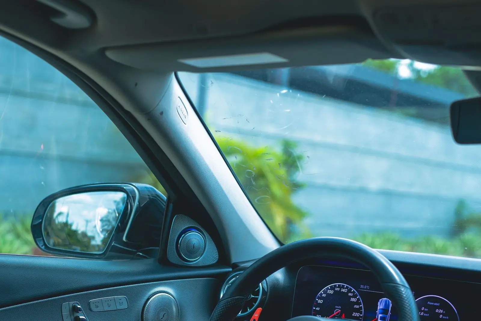 Steering wheel, instrument cluster and door panel