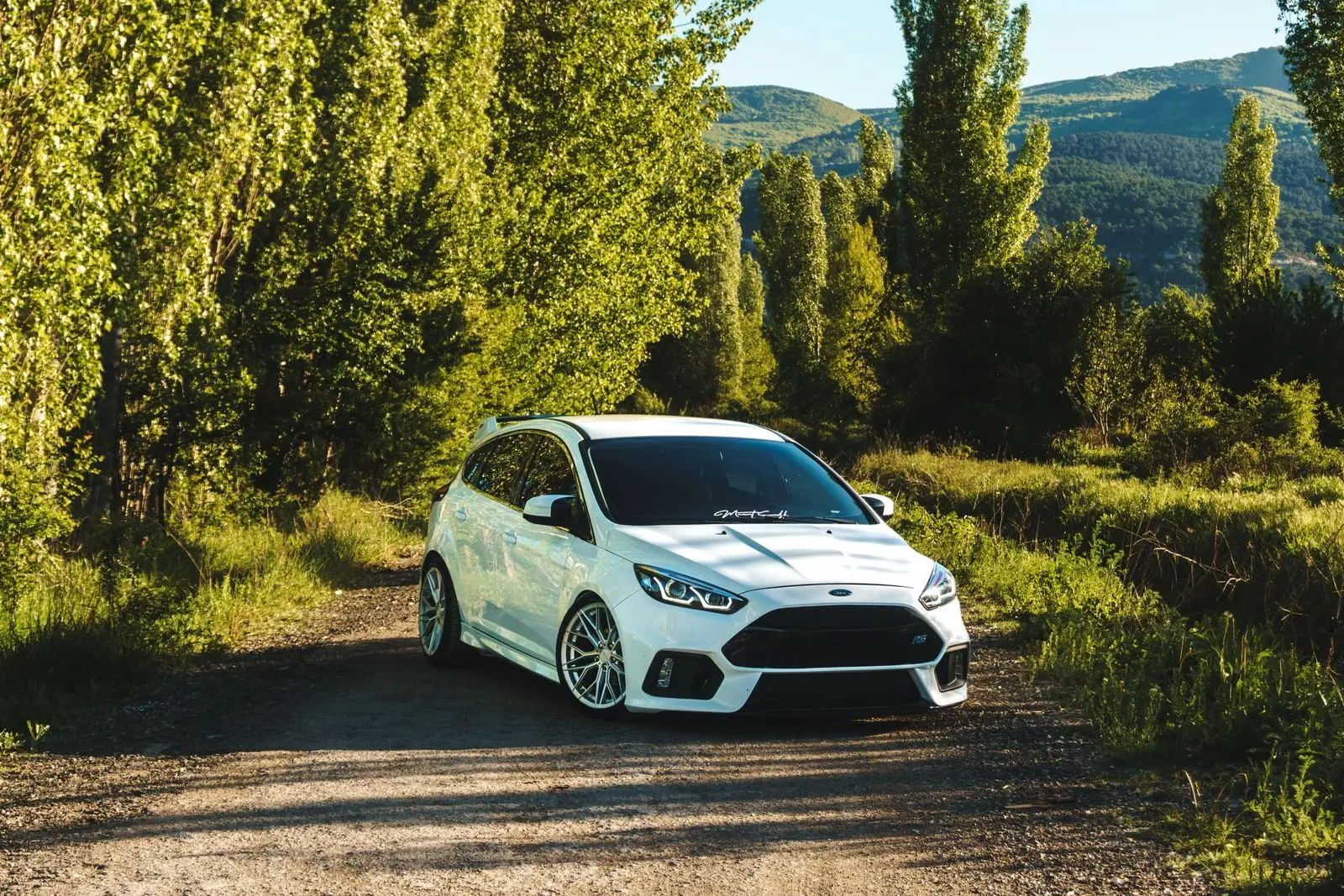 White hatchback between rows of poplar trees