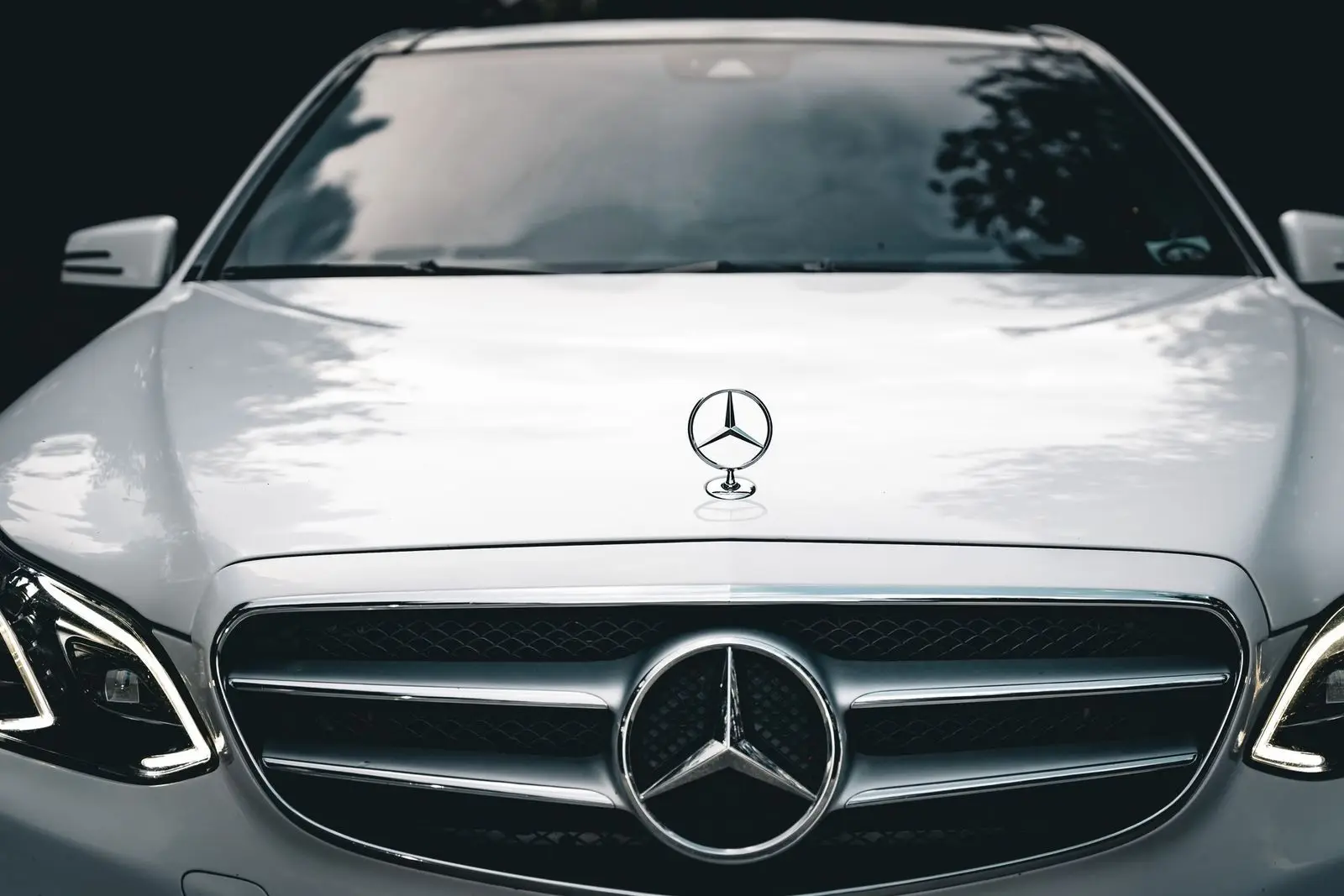 White sedan hood and grille detail